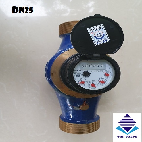 Đồng hồ Đo lưu lượng dạng cơ DN25