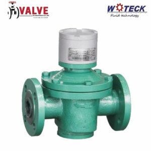 Đồng hồ đo lưu lượng dầu Woteck