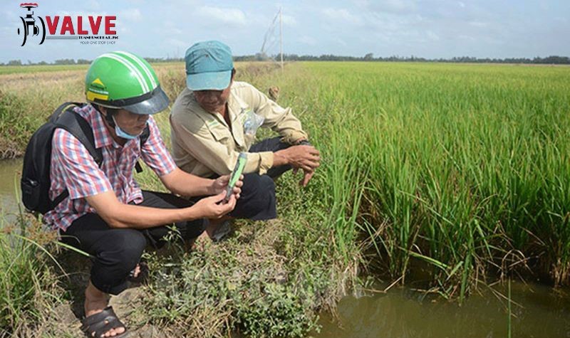 Xâm nhập mặn tại đồng bằng sông Cửu Long