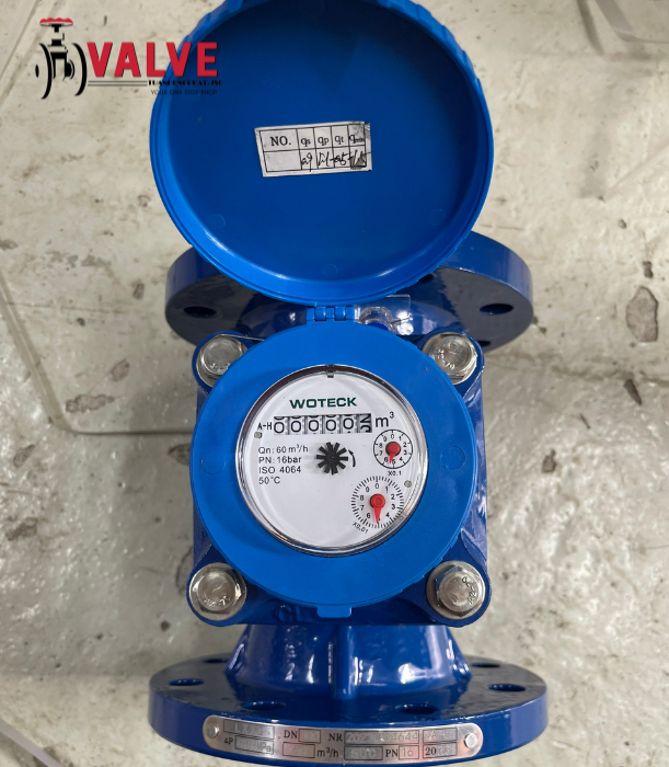 Đồng hồ nước thải cơ học DN80