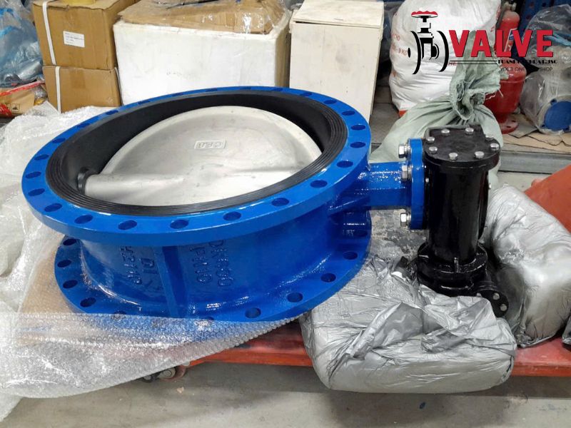 Van bướm DN600 là gì?